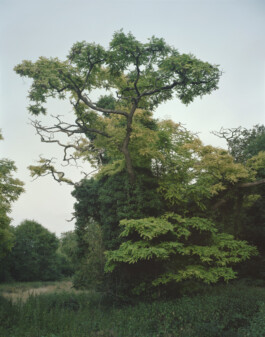 Murray Ballard