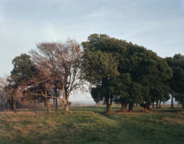 Murray Ballard